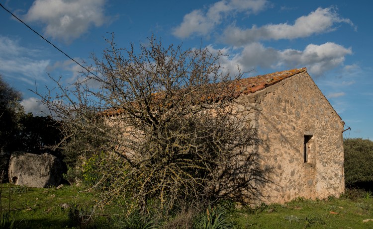 graziella compleanno_58