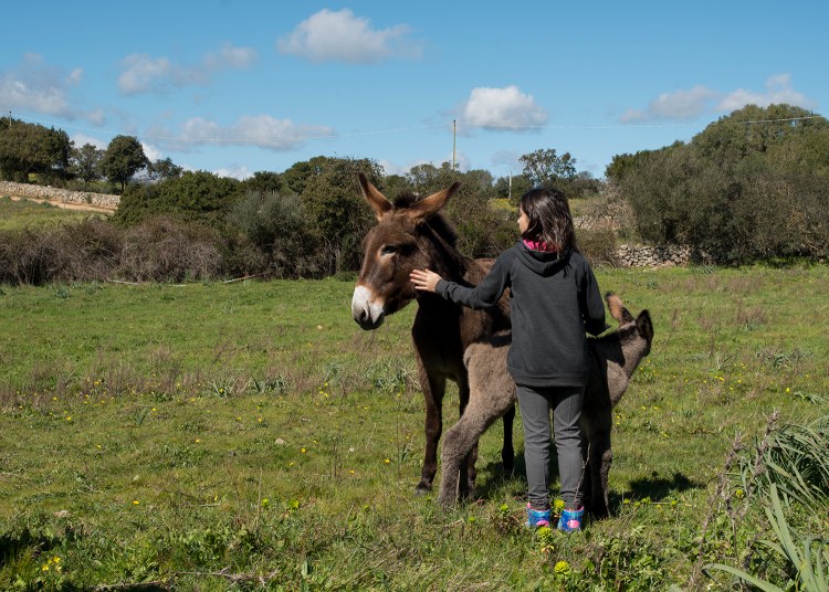 Marta and donkeys
