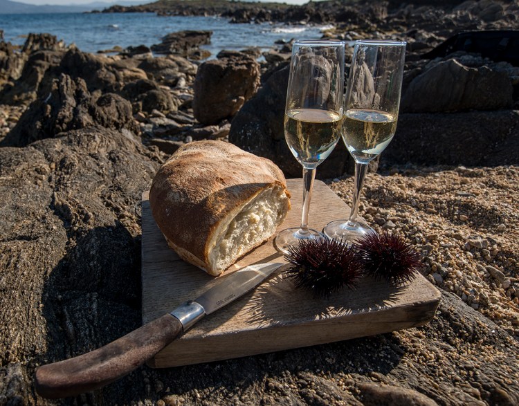 Sea urchins with bread and wine