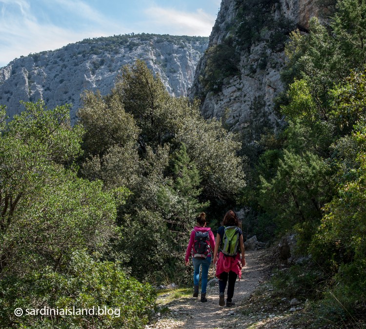 Tiscali the path back