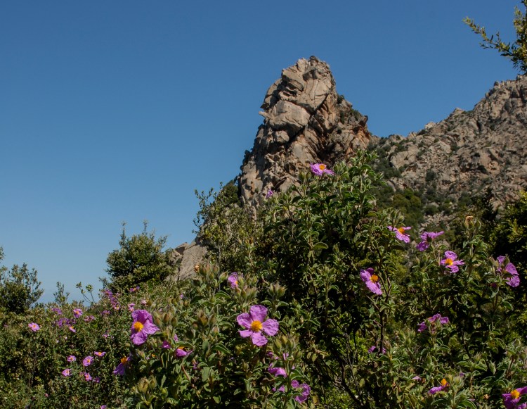 Balba Cana and beautiful Mediterranean vegetation