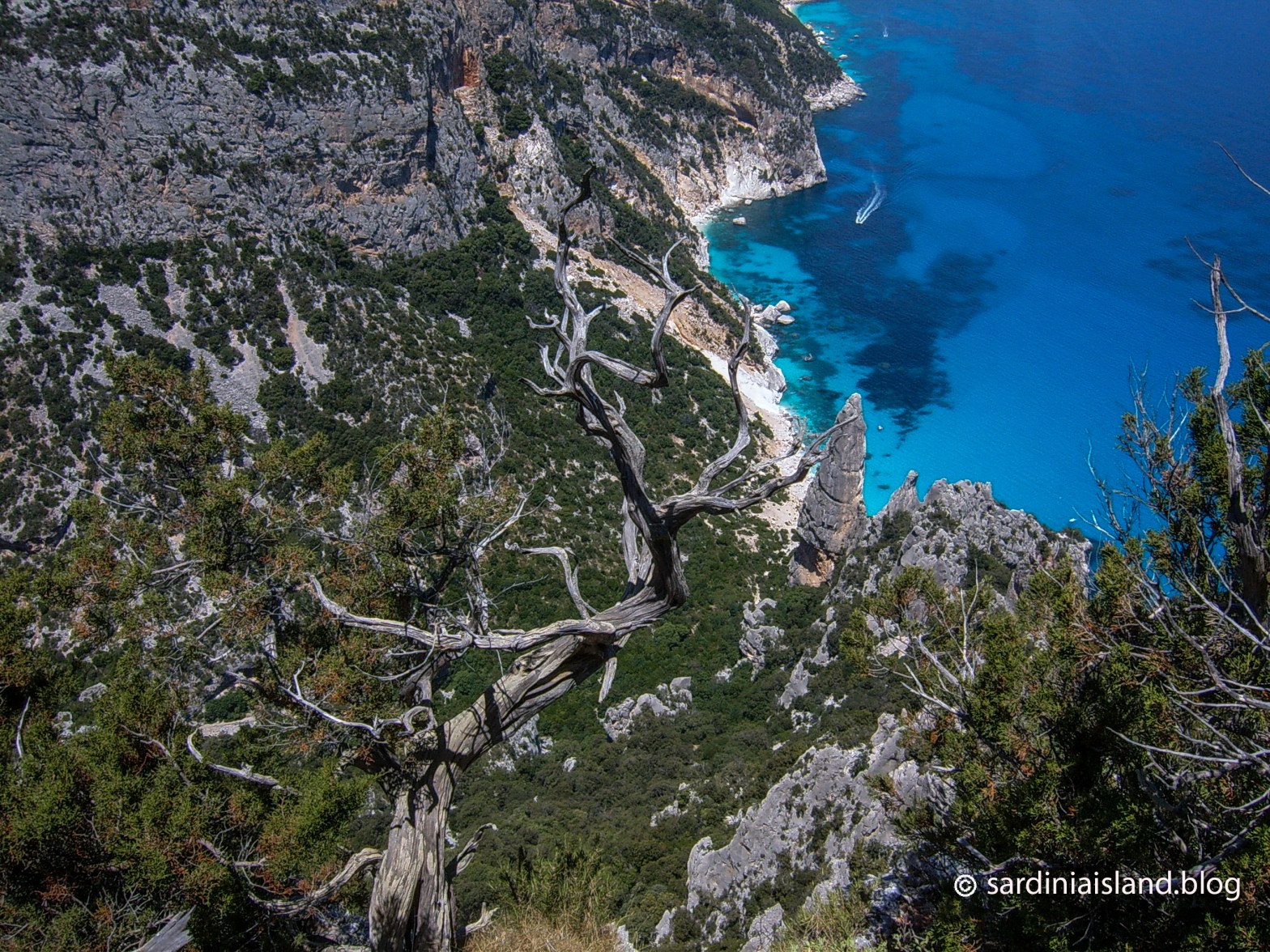 View Cala Goloritzè