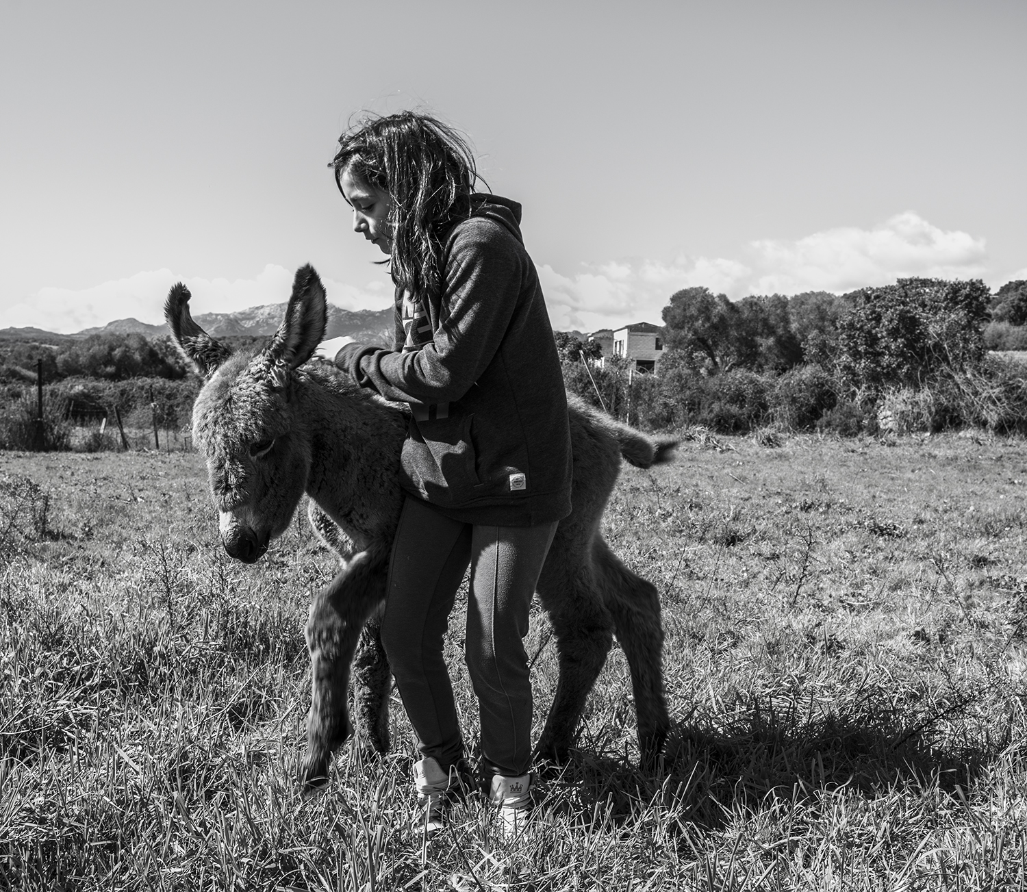 A donkey foal and a girl