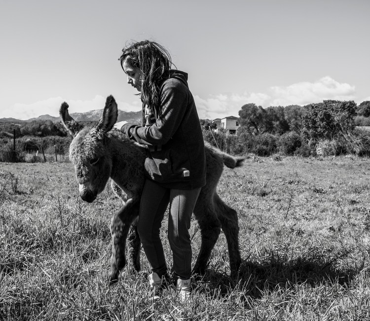 A donkey foal and a girl