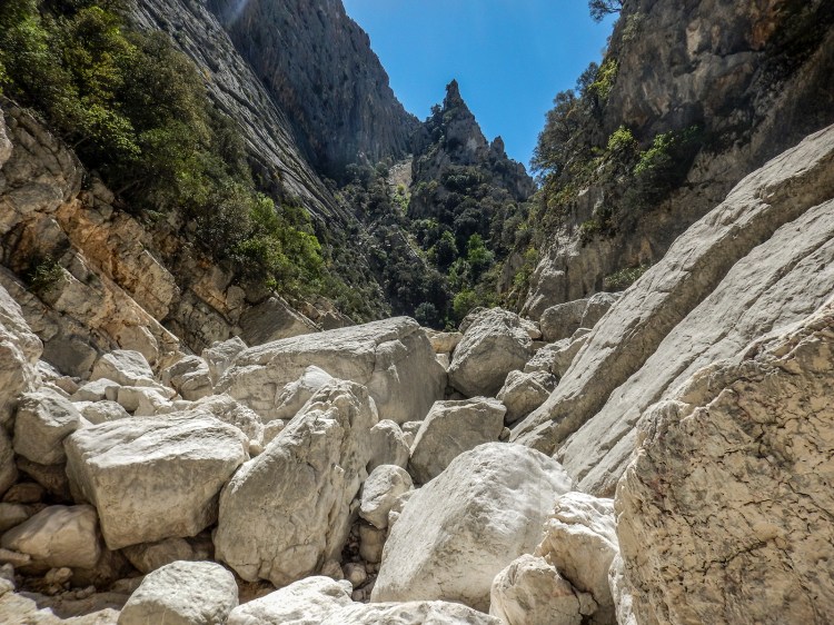 The primordial atmosphere of the canyon