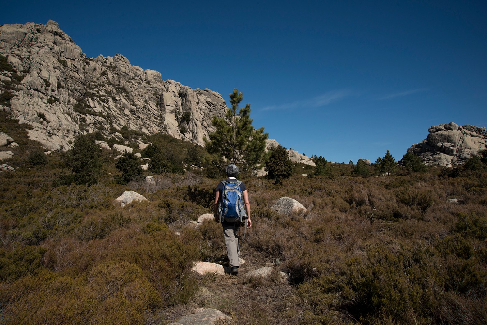 The path bringing to the top