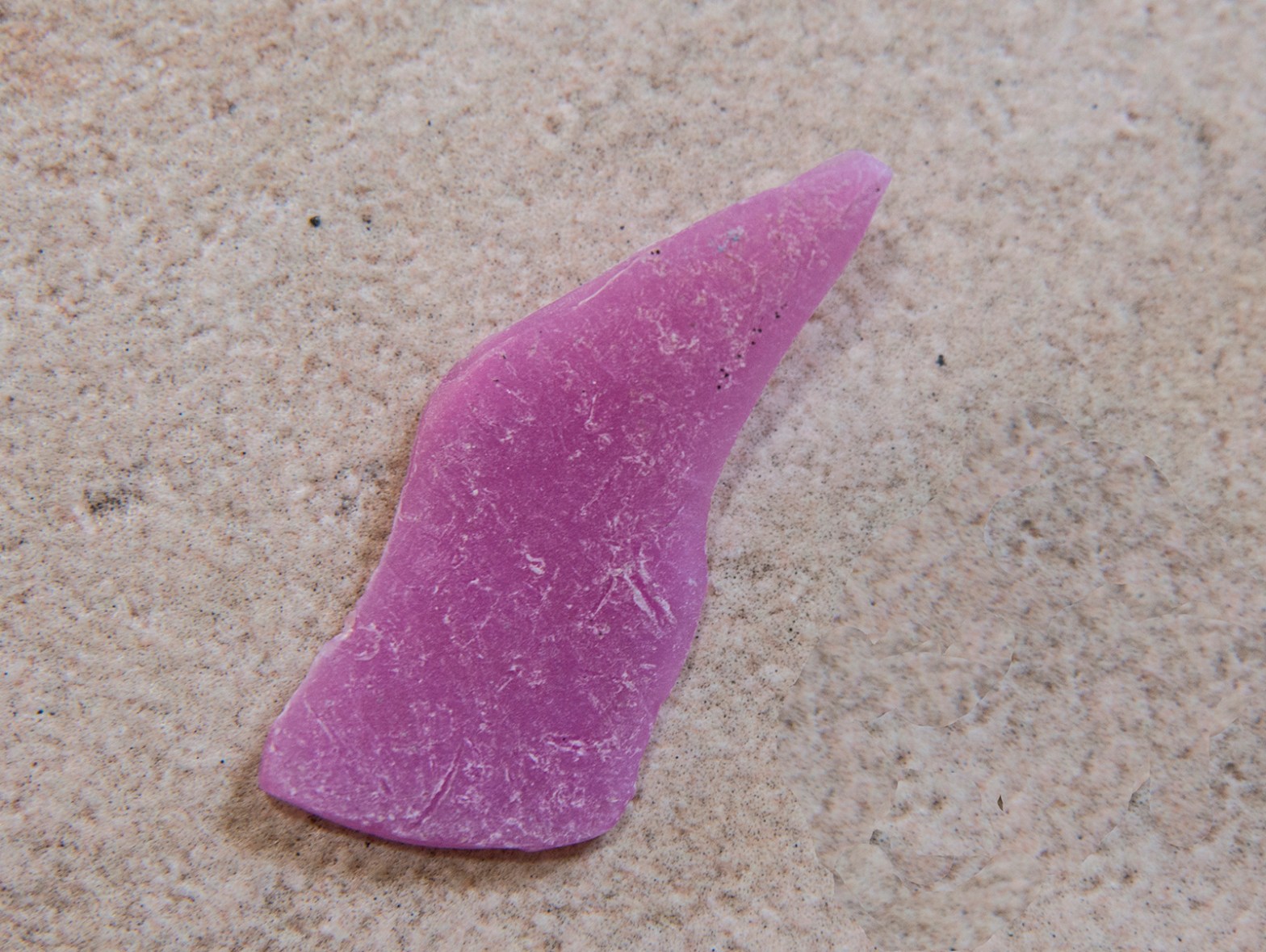 A pink piece of plastic collected on Tavolara