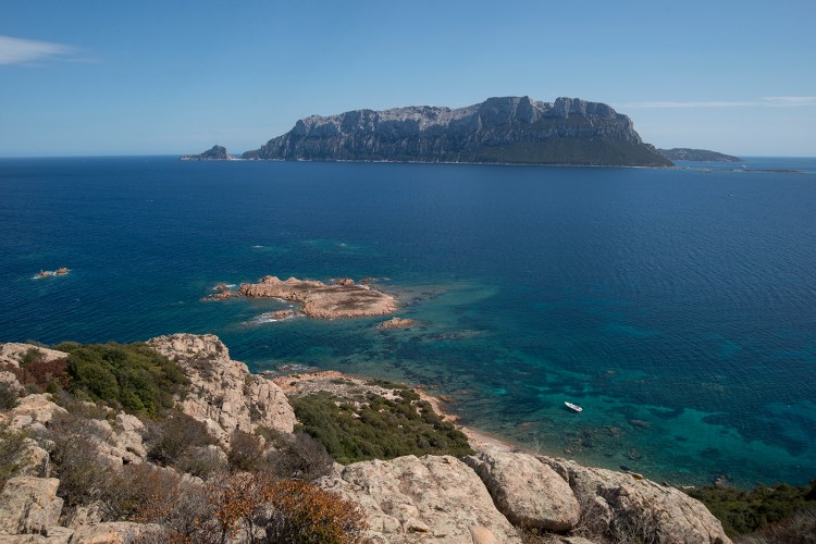 Tavolara viewed from Capo Ceraso