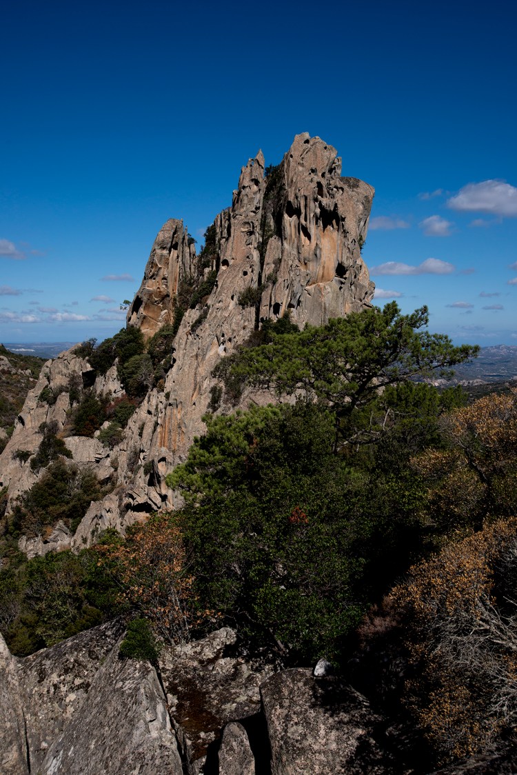 Boulders and mediterranean vegetation